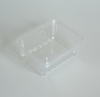 Fruit Container MX-S043