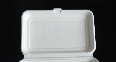 可降解甘蔗渣产品已上线！！！